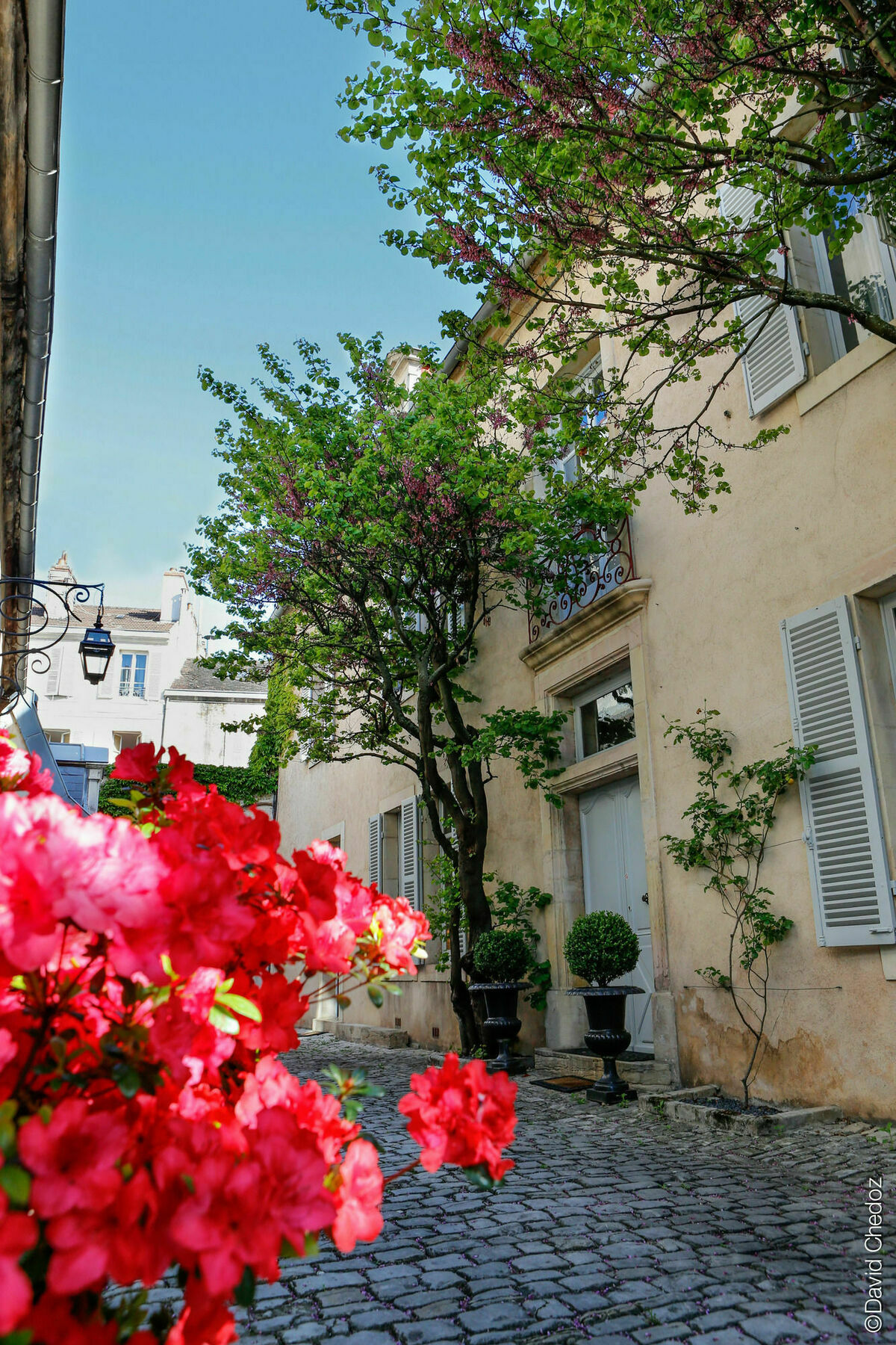 La Cour Berbisey - Teritoria Hotel Dijon Buitenkant foto