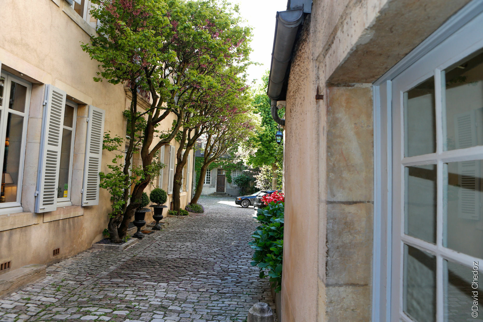 La Cour Berbisey - Teritoria Hotel Dijon Buitenkant foto