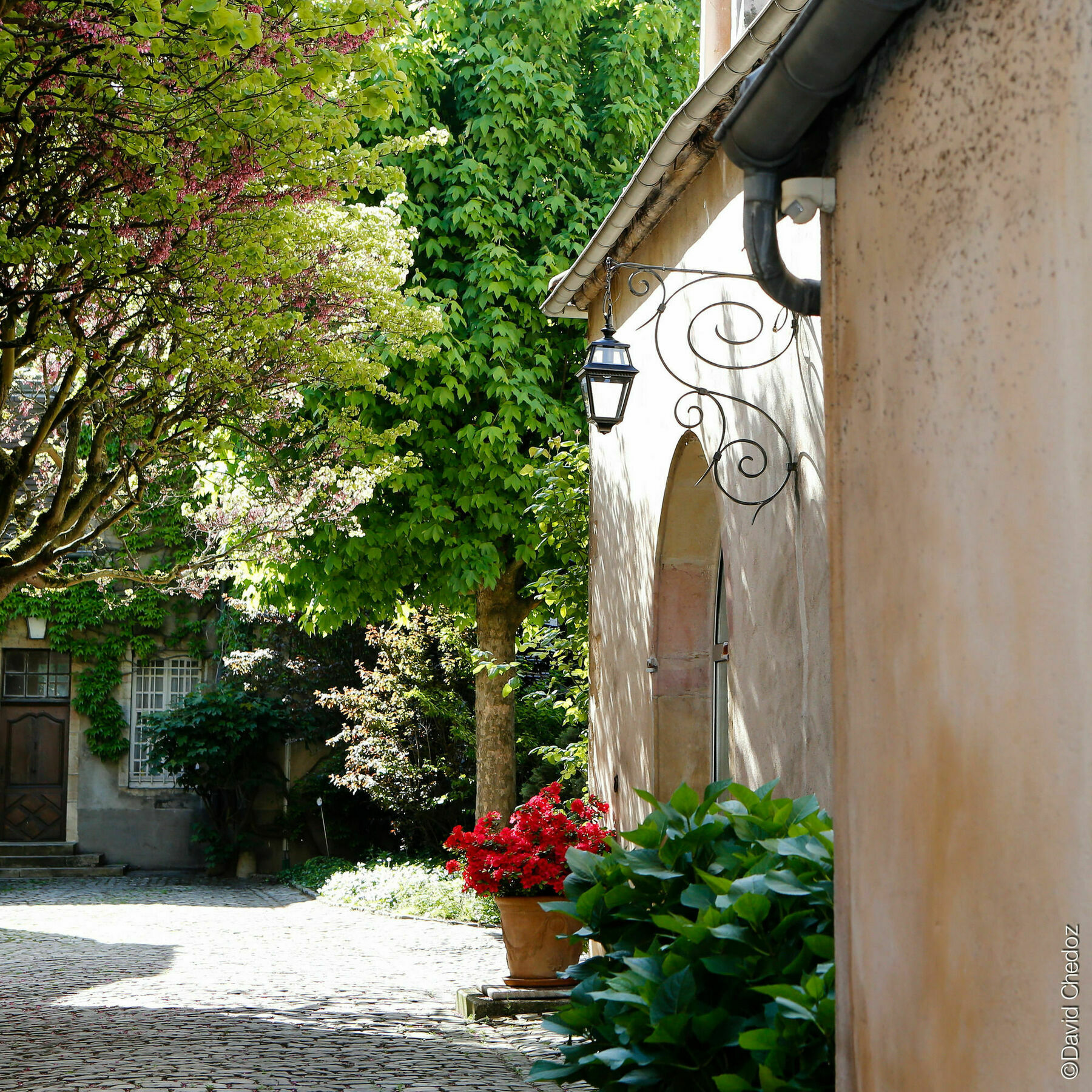 La Cour Berbisey - Teritoria Hotel Dijon Buitenkant foto